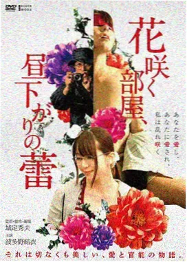 飘花天堂古装剧风起长安海报